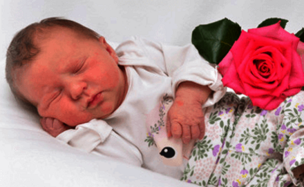 Abbildung Babyfotografie